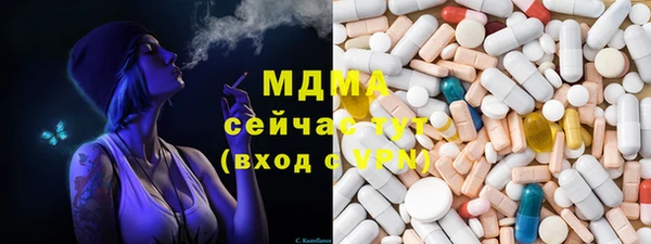 индика Волоколамск