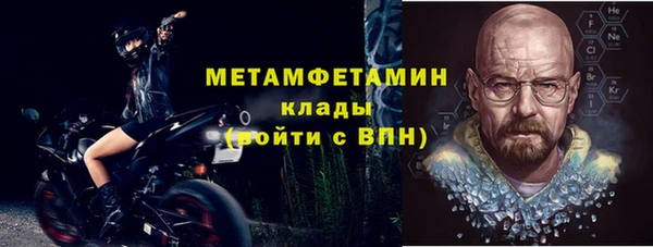 индика Волоколамск