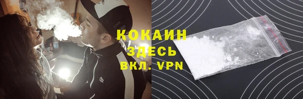индика Волоколамск