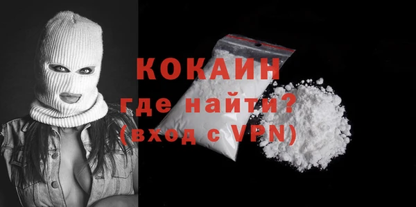 индика Волоколамск