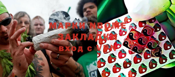 индика Волоколамск