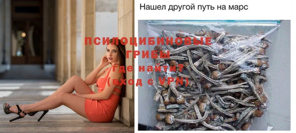 эйфоретик Вязники