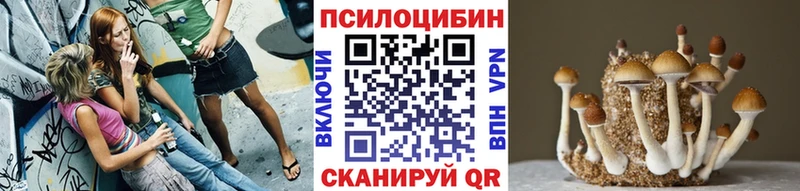 omg tor  Канск  Псилоцибиновые грибы Psilocybe 